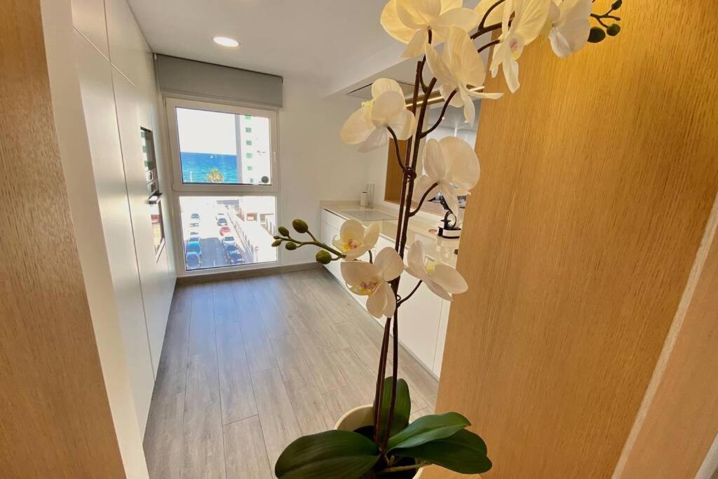 Central Modern Apartment 3 Bed 2 Bath Ел Кампело Екстериор снимка
